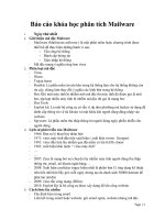 Báo cáo khóa học phân tích malware
