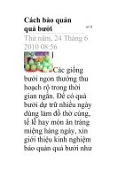 Cách bảo quản quả bưởi pot