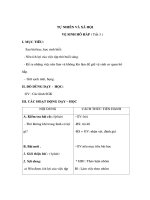 Giáo án Tiếng Việt 3 - TỰ NHI ÊN VÀ XÃ HỘI - VỆ SINH HÔ HẤP ( Tiết 3 ) pot