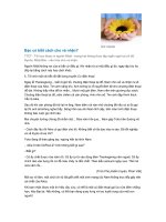 BẠN CÓ BIẾT CÁCH CHO VÀ NHẬN