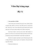 Viêm Đại tràng mạn (Kỳ 1) docx