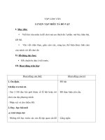 Tiếng Việt lớp 4 - TẬP LÀM VĂN - LUYỆN TẬP MIÊU TẢ ĐỒ VẬT pdf