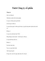 Tách Công ty cổ phần docx