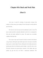 Chapter 016. Back and Neck Pain (Part 3) ppsx