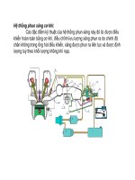 Hệ thống phun xăng cơ khí ppt