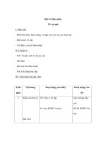 Mỹ thuật lớp 2 - Vẽ theo mẫu - Vẽ cái mũ ppt