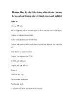 Thủ tục đăng ký cấp Giấy chứng nhận đầu tư (trường hợp gắn hoặc không gắn với thành lập doanh nghiệp) docx