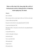 Thẩm tra điều chỉnh Giấy chứng nhận đầu tư đối với trường hợp dự án pdf