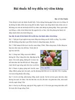 Bài thuốc hỗ trợ điều trị viêm khớp ppt