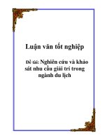 Tiểu luận: Nghiên cứu và khảo sát nhu cầu giải trí trong ngành du lịch pps