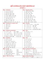 DE CUONG ON TAP SO HOC 6 ( HAY )