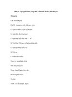 Chuyển xếp ngạch lương công chức, viên chức do thay đổi công tác pdf