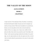THE VALLEY OF THE MOON JACK LONDON BOOK 1 CHAPTER 5 pot