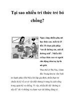 Tại sao nhiều trí thức trẻ bỏ chồng? pptx