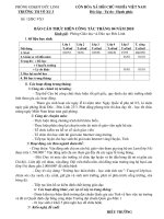 Báo cáo tháng 4/2010