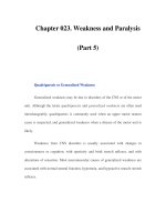 Chapter 023. Weakness and Paralysis (Part 5) ppt