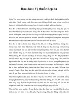 Hoa đào: Vị thuốc đẹp da doc