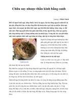 Chữa suy nhược thần kinh bằng canh pptx