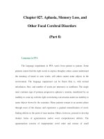 Chapter 027. Aphasia, Memory Loss, and Other Focal Cerebral Disorders (Part 8) potx