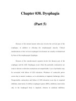 Chapter 038. Dysphagia (Part 5) docx