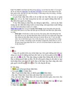 Câu hỏi ôn tập môn triết học ppt