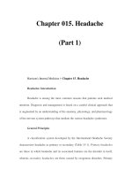 Chapter 015. Headache (Part 1) doc