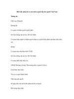 Đổi Giấy phép lái xe của nước ngoài cấp cho người Việt Nam pptx