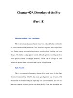 Chapter 029. Disorders of the Eye (Part 11) potx