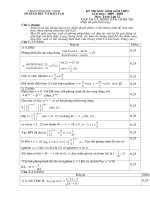 Đáp án HSG Toán Bắc Ninh 2010