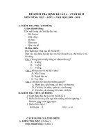 đề thi học kì II môn tiếng việt