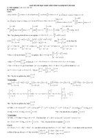 GIẢI ĐỀ THI HSG LỚP 12 NĂM 2010 - NAM ĐỊNH