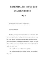 LỘ TRÌNH VÀ HỘI CHỨNG BỆNH CỦA 12 KINH CHÍNH (Kỳ 9) pptx