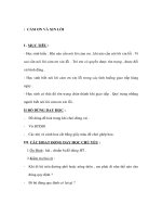 Bài giảng Đạo đức lớp 1 - CẢM ƠN VÀ XIN LỖI docx