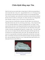 Chữa bệnh bằng mực Tàu pot