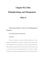 Chapter 012. Pain: Pathophysiology and Management (Part 1) pptx