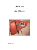 Áp xe gan (do vi khuẩn) pptx