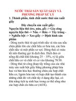 NƯỚC THẢI SẢN XUẤT GIẤY VÀ PHƯƠNG PHÁP XỬ LÝ docx