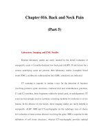 Chapter 016. Back and Neck Pain (Part 5) pps