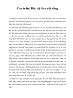 Cao trăn: Đặc trị đau cột sống pdf