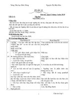 GIAO AN LOP 1 TUAN 31 CKTKN  2 BUOI