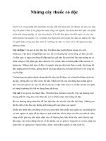 Những cây thuốc có độc ppt