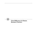 The Analysis of Firms and Employees Part 4 docx