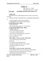 Giao an Lop 1-Tuan 12