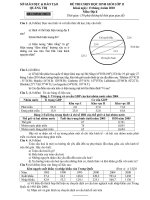 đề thi hsg lớp 11 2010