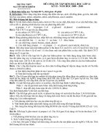 de cuong on tap hoc ky II - lop 11