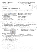 đề thi 10 HKII có Đ.án