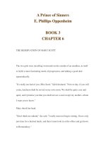 A Prince of Sinners E. Phillips Oppenheim BOOK 3 CHAPTER 6 ppsx