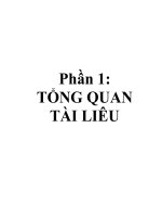 Luận văn tận dụng một số phế phụ liệu giàu glucid, tạo các sản phẩm có giá trị