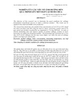 bắp cải muối chua pdf