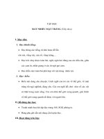 Tiếng Việt lớp 4 - TẬP ĐỌC - RẤT NHIỀU MẶT TRĂNG (Tiếp theo) doc